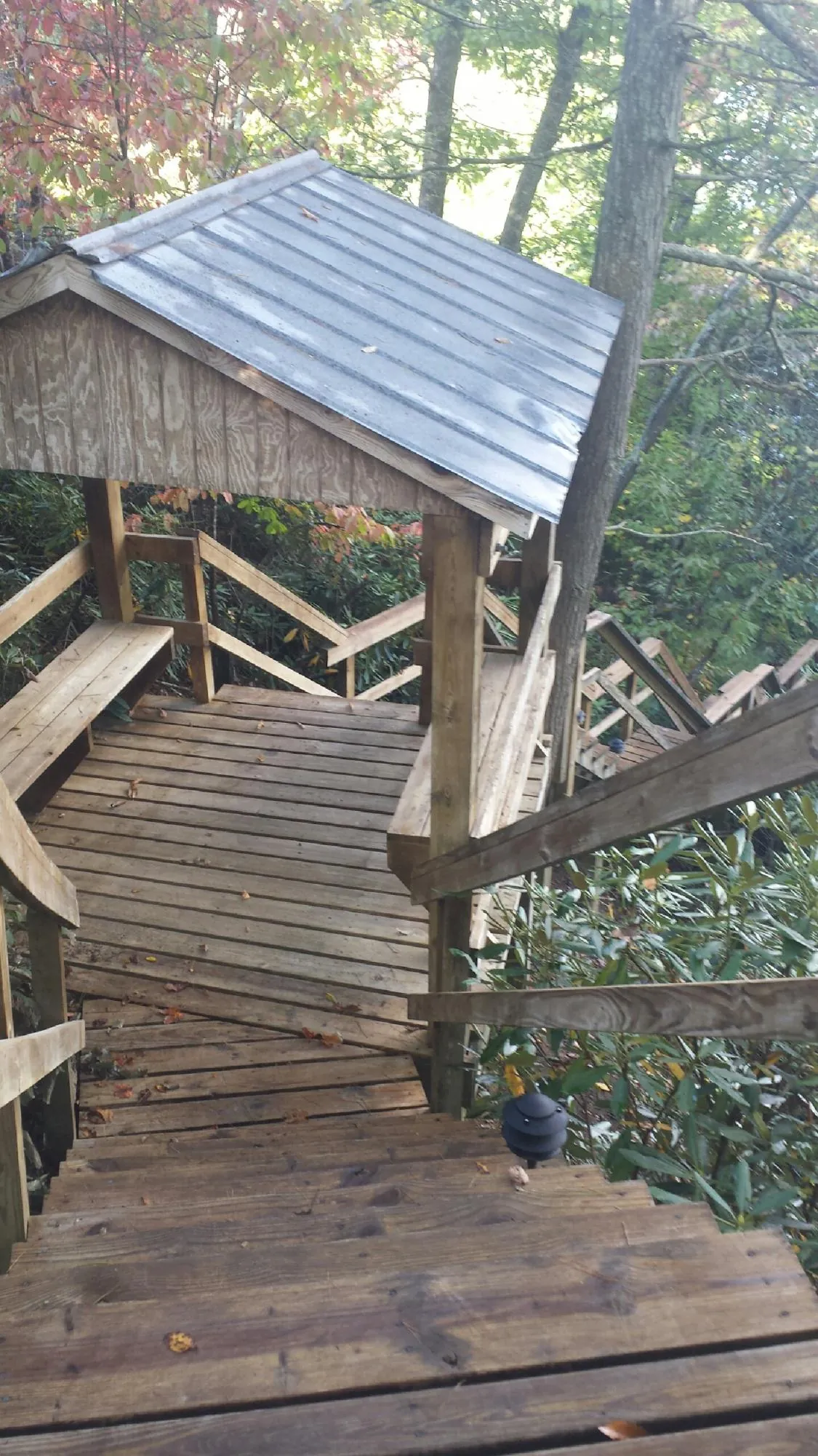 Metal roofed shelter over wooden steps on a wooded walkway — Skylight Repair & Installation work by our crew in Alvaton