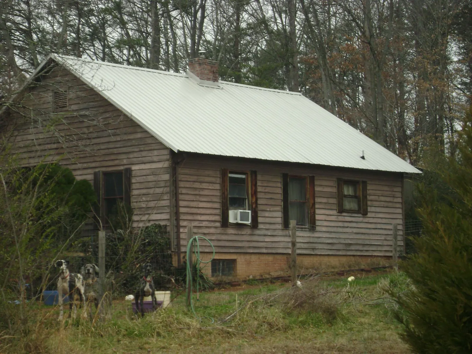 White metal roof on an old wood sided farmhouse, from a Asphalt Shingle Roof Repair job in Alvaton